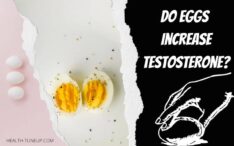 do eggs increase testosterone