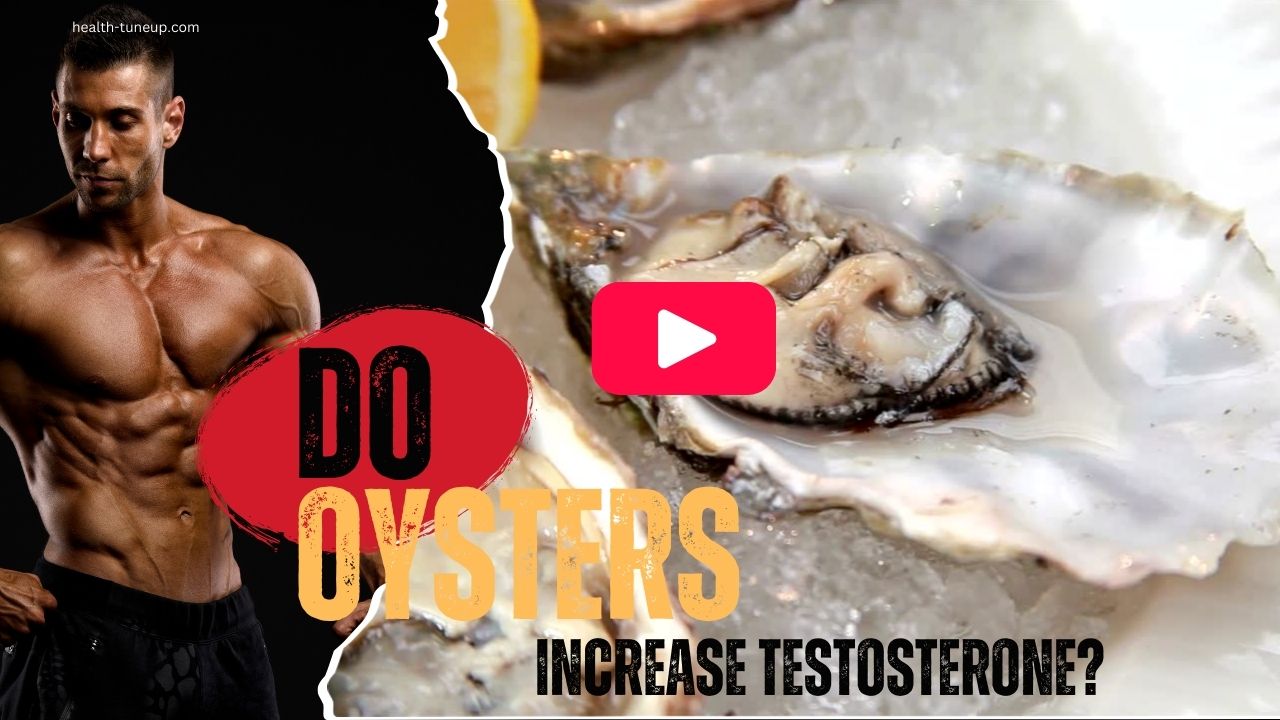 oysters and testosterone