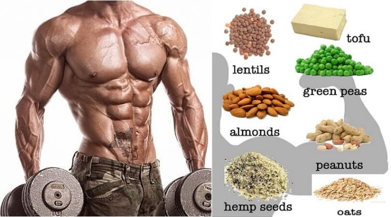 Top 11 High Protein Vegetarian Foods For Muscle Building 6485