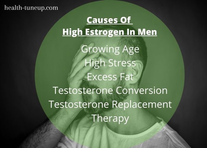 What Causes High Estrogen In Males