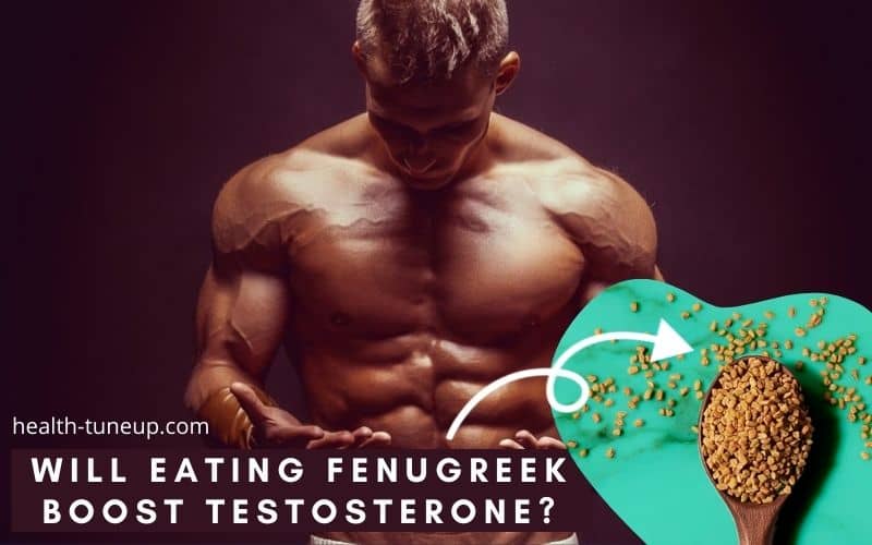 How Does Fenugreek Increase Testosterone How Much To Take?