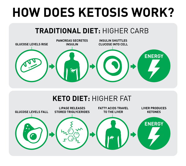 How Does Keto Work