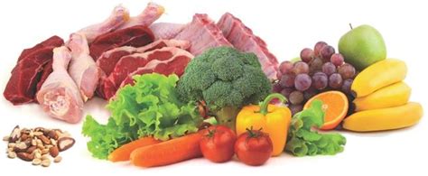low-carb-fruits,-veggies,-and-meat for weight loss