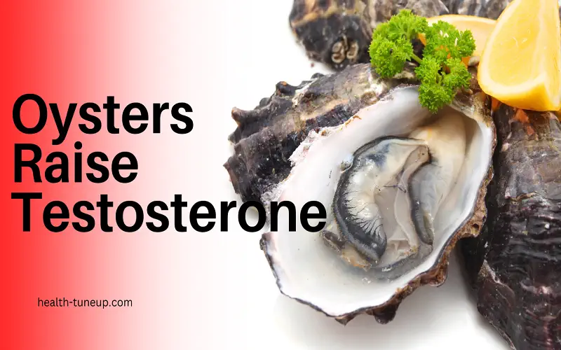 do oysters increase testosterone