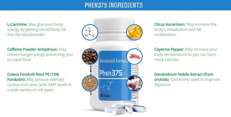 phen375 ingredients img
