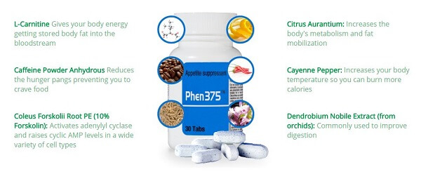 Phen375 Ingredients