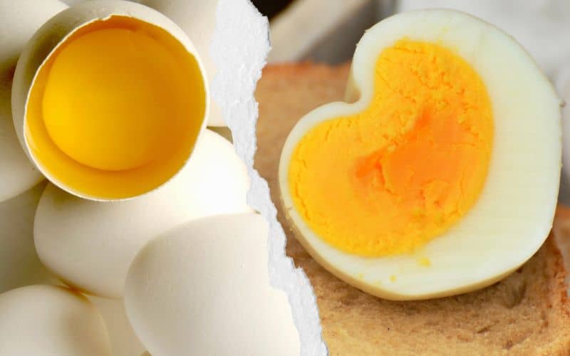 Raw Eggs vs Cooked Eggs testosterone