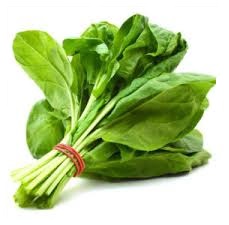 green leaves veg - spinach