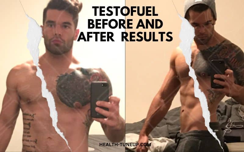 testofuel before and after
