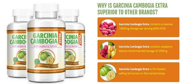 what is garcinia cambogia extra
