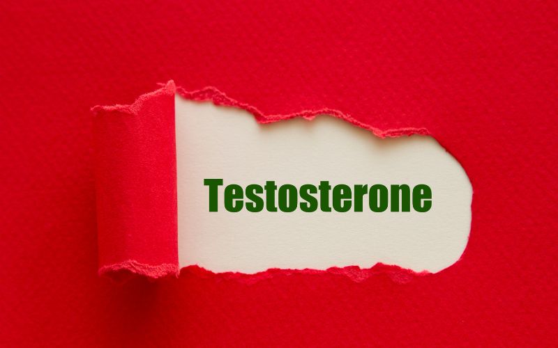 what does testosterone do