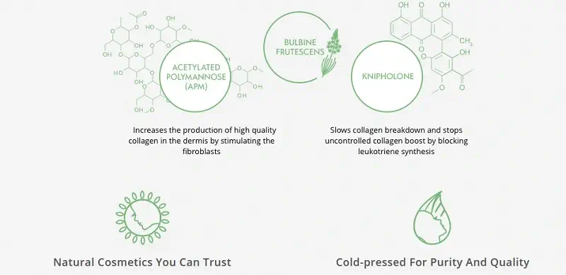 xyz smart collagen ingredients